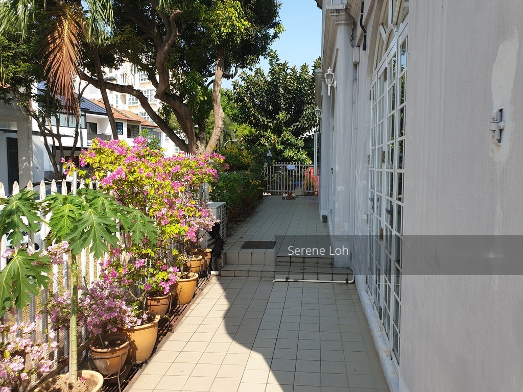 Joo Chiat Place (D15), Terrace #212683891
